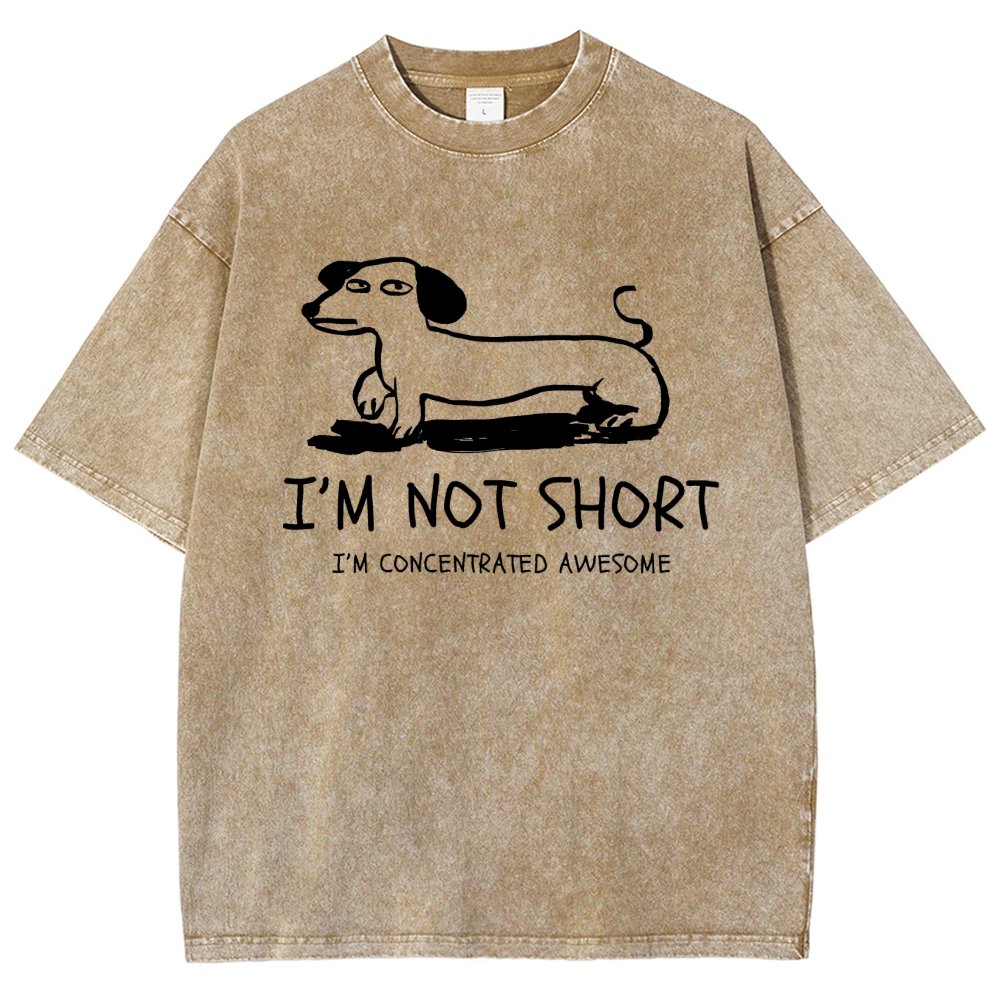 I'm Not Short Vintage Distressed T-shirt