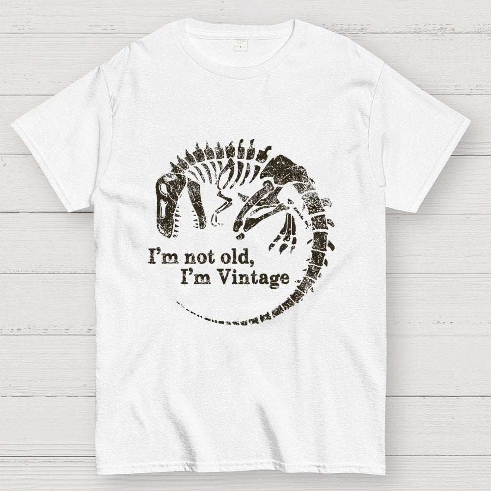 I'm Not Old I'm Vintage Geek T-Shirt