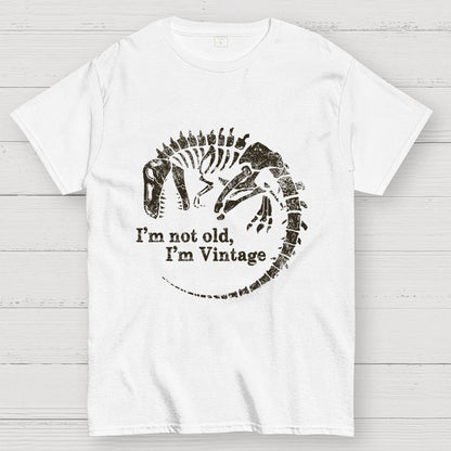 I'm Not Old I'm Vintage Geek T-Shirt