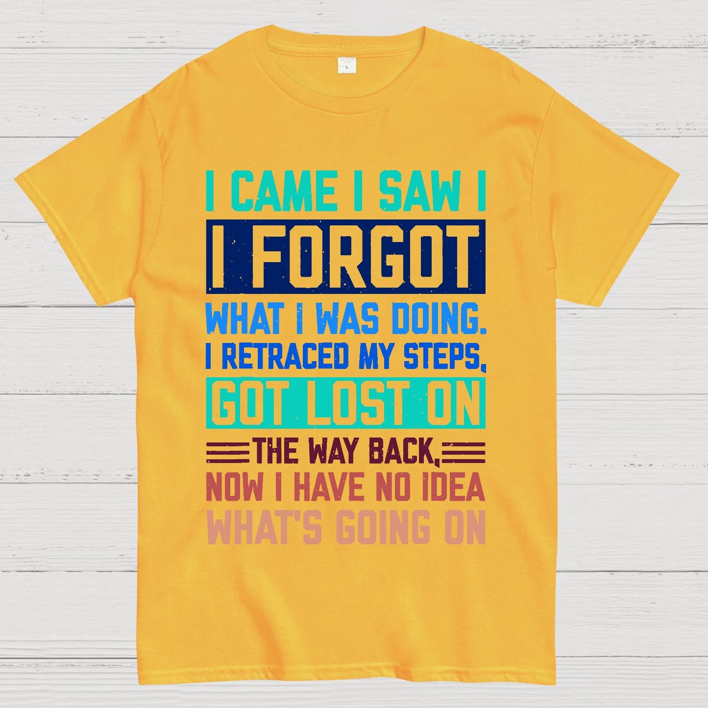 I Came I Saw I Forgot What I Was Doing Sarcastic Geek T-Shirt