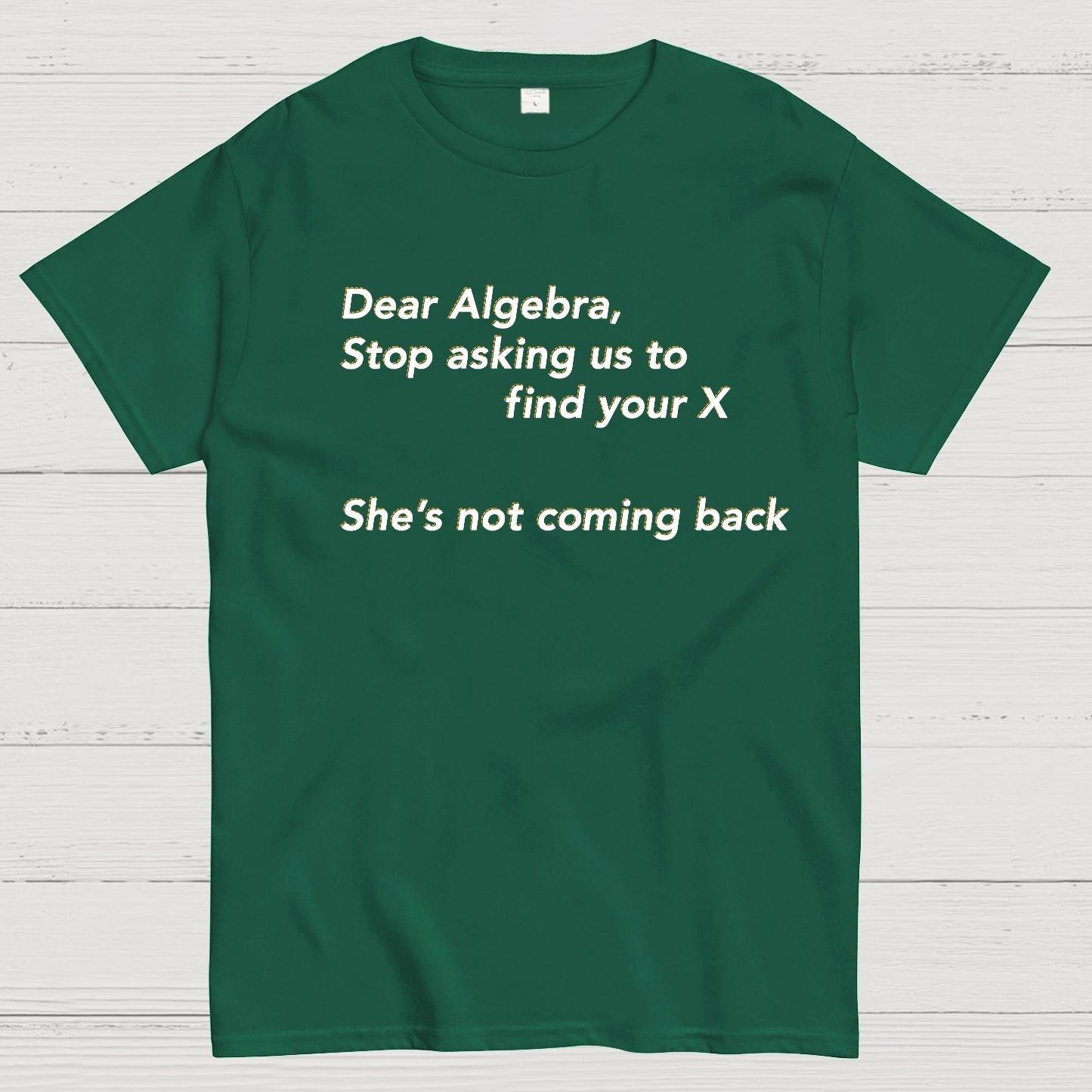 Dear Algebra, Stop Asking Us To Find Your X-1 Geeky T-Shirt