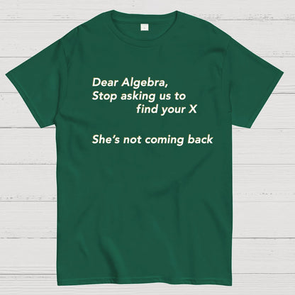 Dear Algebra, Stop Asking Us To Find Your X-1 Geeky T-Shirt