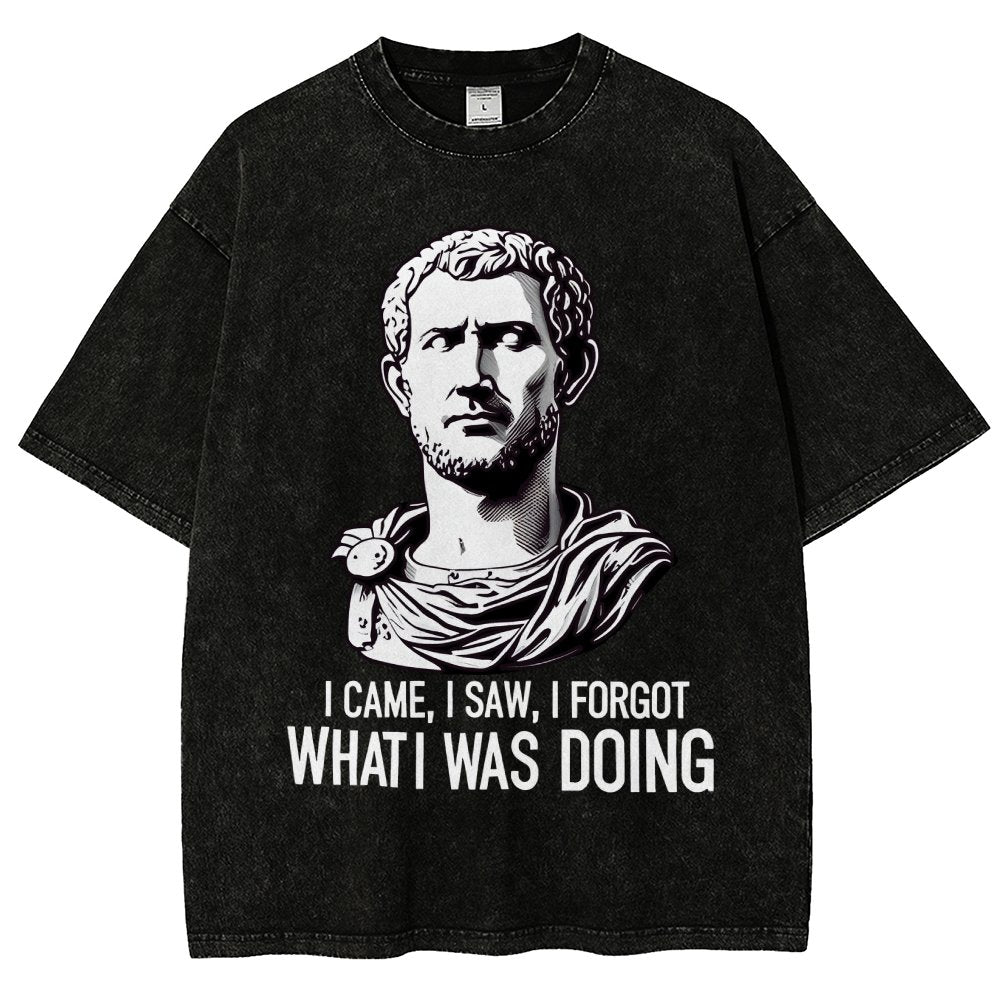 I Came  I saw  I forgot What I was Doing Vintage Distressed T-shirt