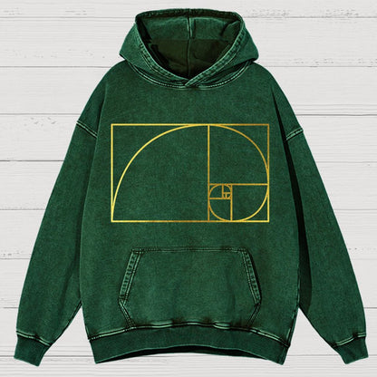 Distressed Fibonacci Spiral Geek Graphic Vintage Distressed Hoodie