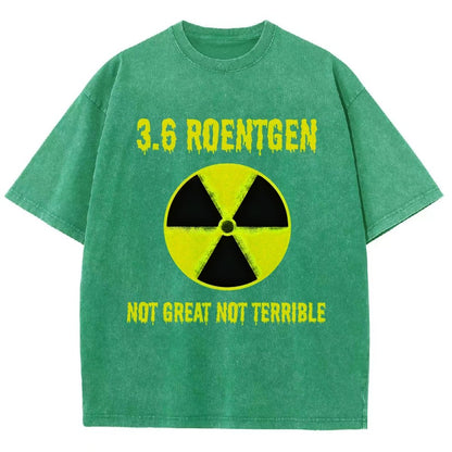 3.6 Roentgen Not Great Not Terrible Vintage Distressed T-shirt