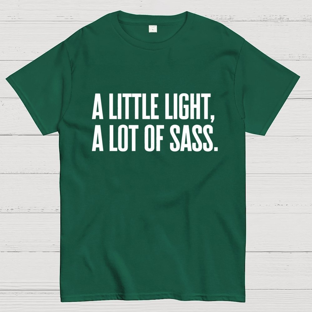 A Little Light, A Lot Of Sass. Geek T-Shirt