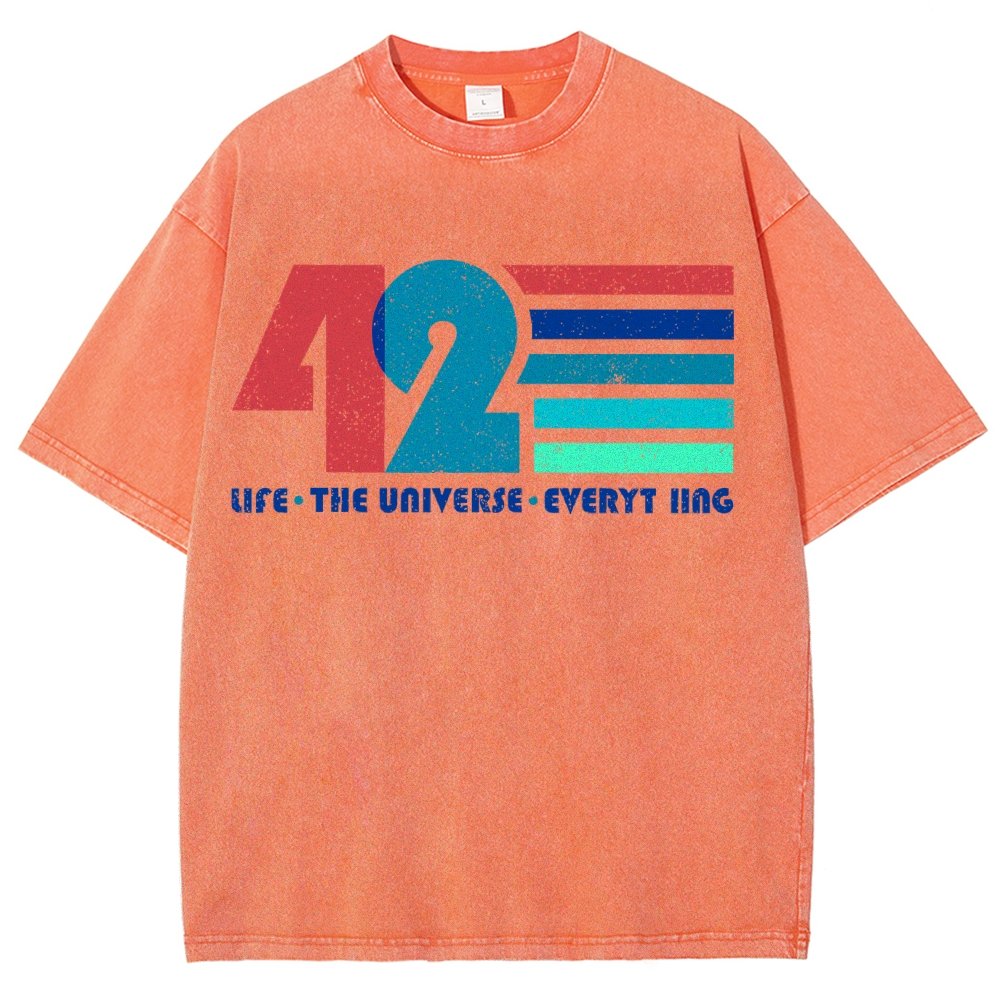 The Answer Is 42 Vintage Distressed T-shirt
