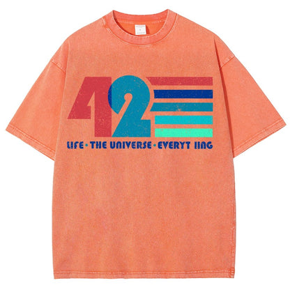 The Answer Is 42 Vintage Distressed T-shirt