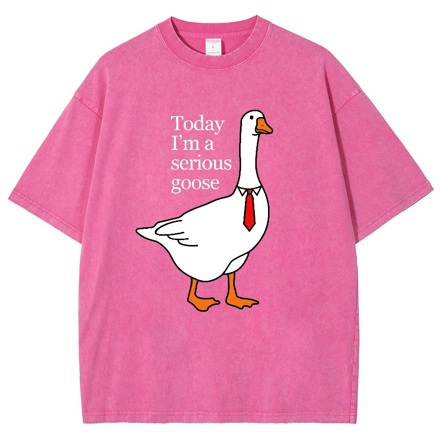 Today I'm A Serious Goose Vintage Distressed T-shirt