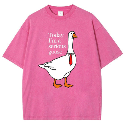 Today I'm A Serious Goose Vintage Distressed T-shirt