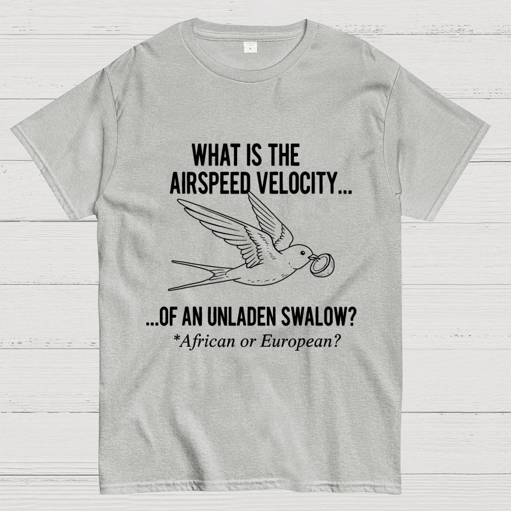 What Is The Airspeed Velocity...Art Print Geek T-Shirt