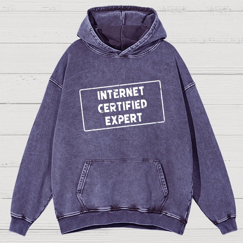 Internet Certified Expert Vintage Distressed Hoodie