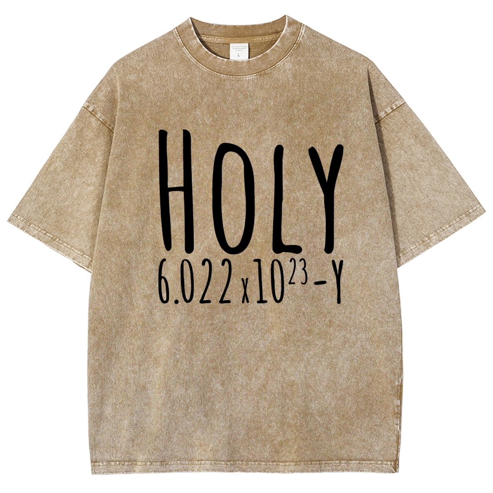 Holy Avogadro Vintage Distressed T-shirt