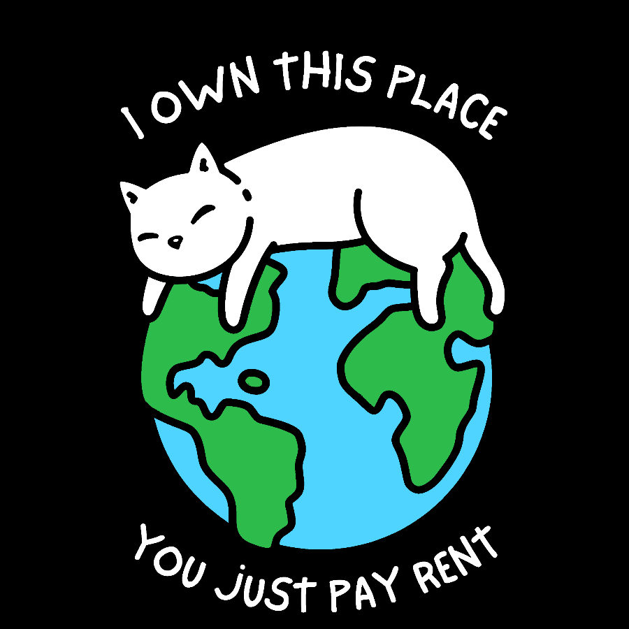 I Own This Place Geek T-Shirt