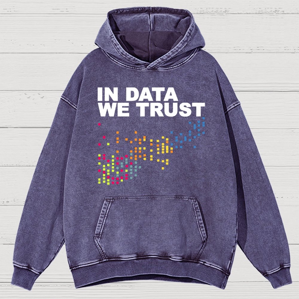 In Big Data We Trust Vintage Distressed Hoodie