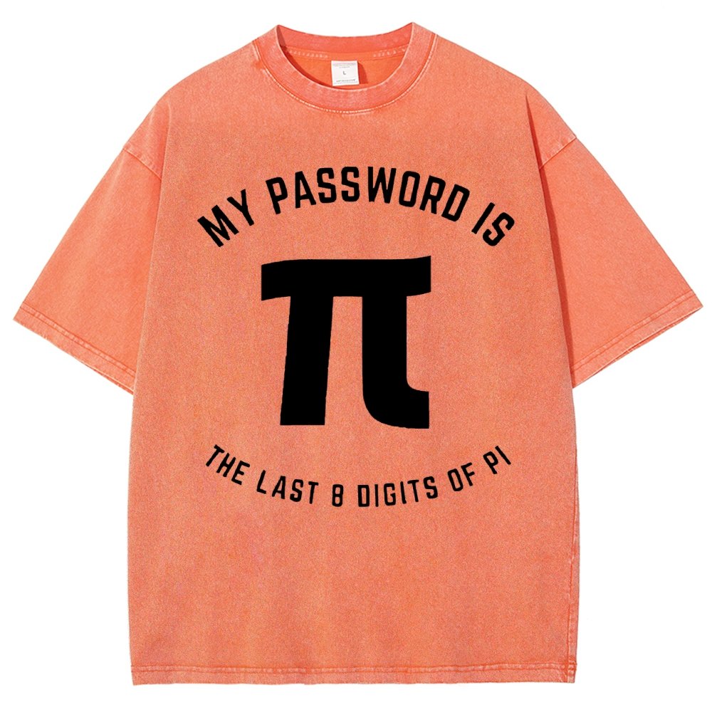 My Password Is The Last 8 Digits Of Pi Nerd Vintage Distressed T-shirt