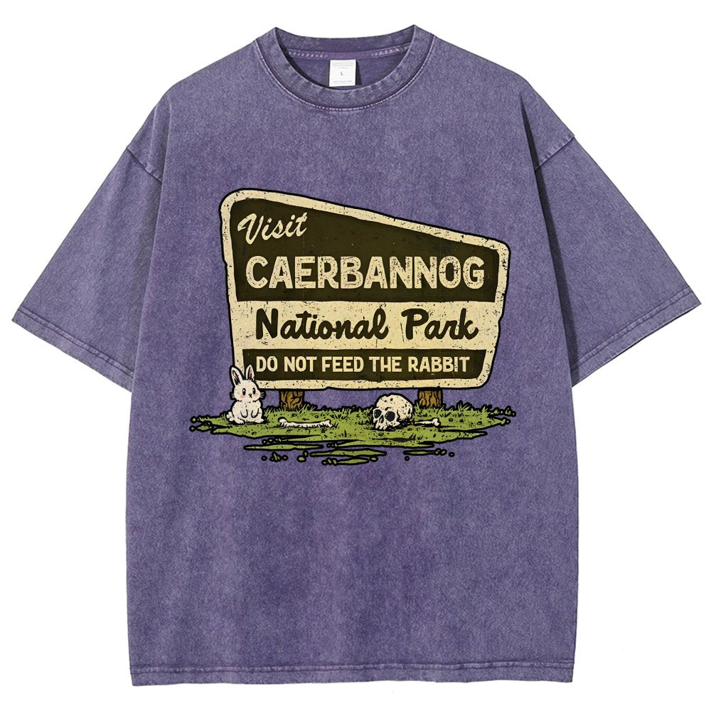 Mystic Valley National Park Vintage Distressed T-shirt