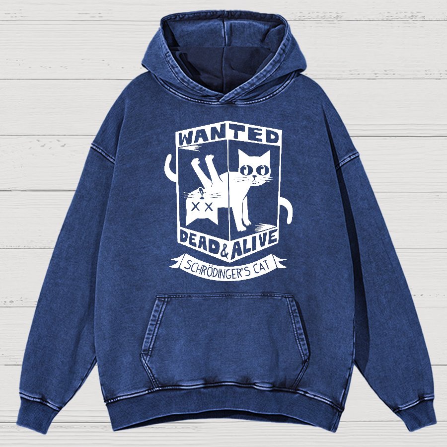 Schrödinger's Cat Mathe, Physics Vintage Distressed Hoodie