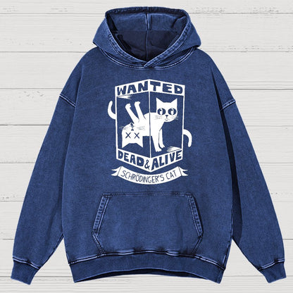 Schrödinger's Cat Mathe, Physics Vintage Distressed Hoodie