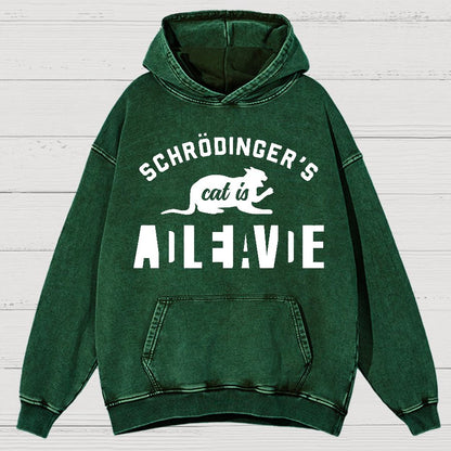 Schrodinger's Cat Vintage Distressed Hoodie