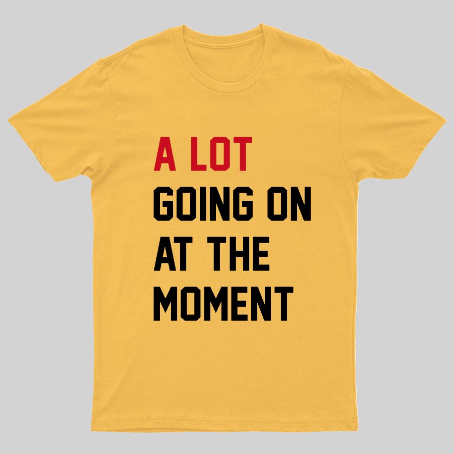 A Lot Going On at The Moment Geeky T-Shirt