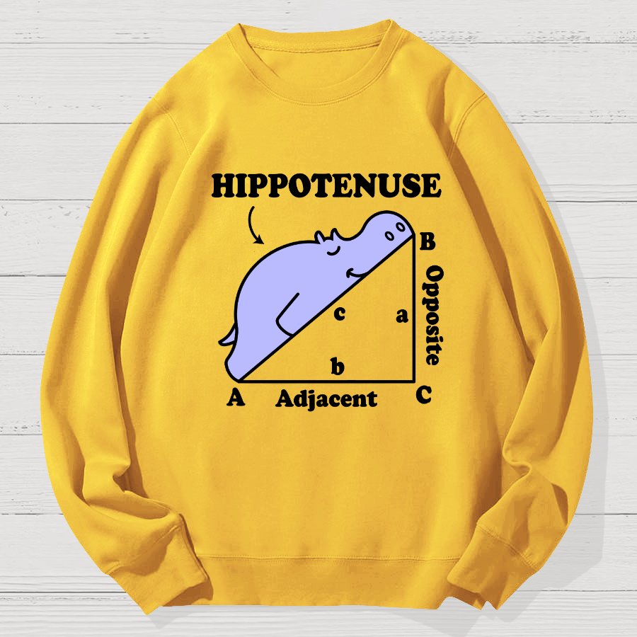 Hypotenuse Math Pun, Hippotenuse Essential Geek Cotton Sweatshirt