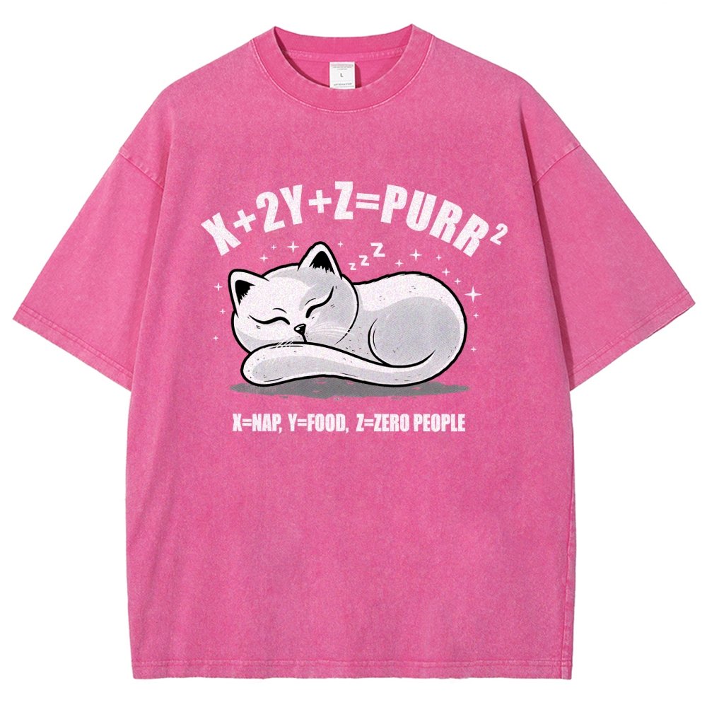 Purrfect Equation Vintage Distressed T-shirt