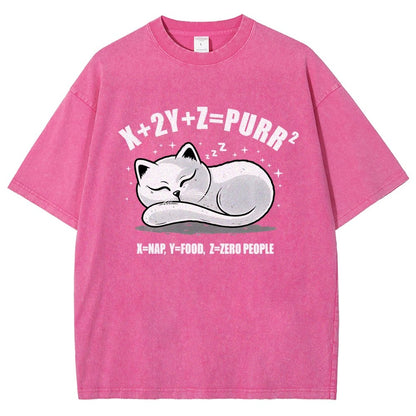Purrfect Equation Vintage Distressed T-shirt