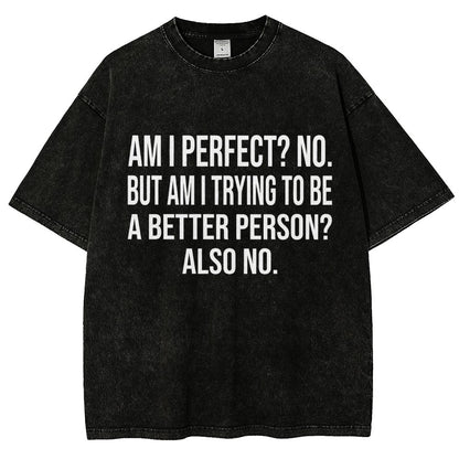 Am I Perfect No But Am I Trying To Be A Better Person Also No Vintage Distressed T-shirt