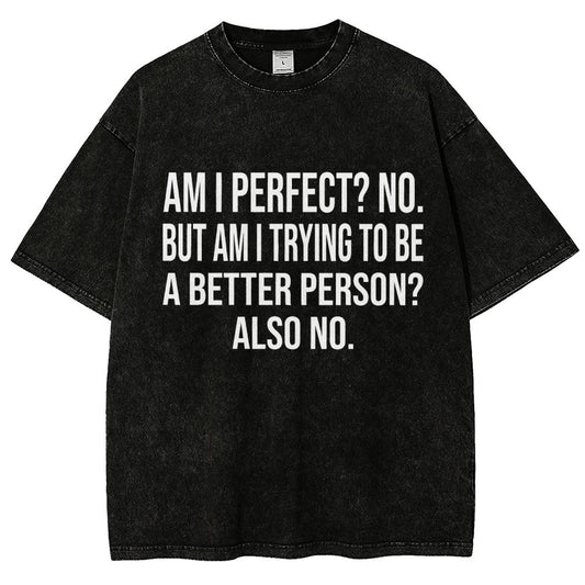 Am I Perfect No But Am I Trying To Be A Better Person Also No Vintage Distressed T-shirt