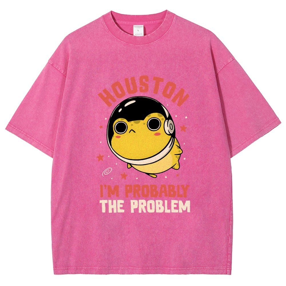 Houston Im Probably The Problem Vintage Distressed T-shirt