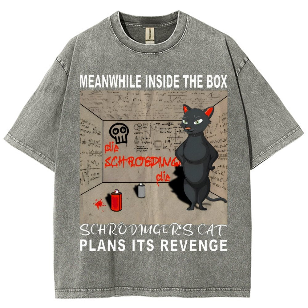 Inside The Box：Schrödingers Cat Plans Its Revenge Vintage Distressed T-shirt