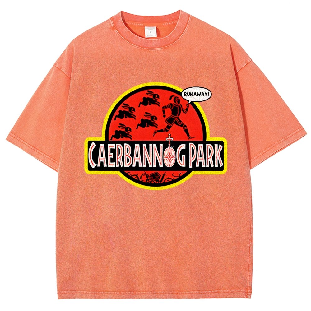 Greenwood Park Vintage Distressed T-shirt
