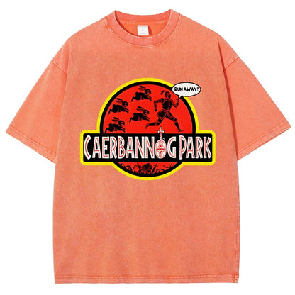 Greenwood Park Vintage Distressed T-shirt