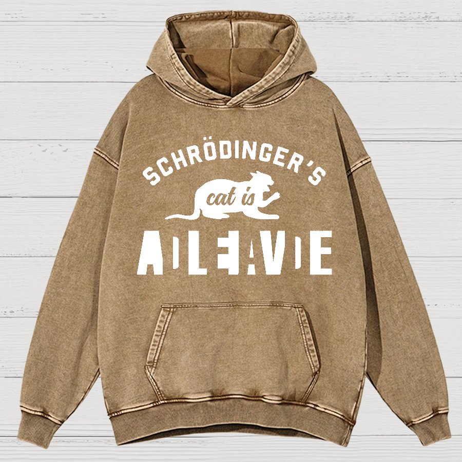 Schrodinger's Cat Vintage Distressed Hoodie