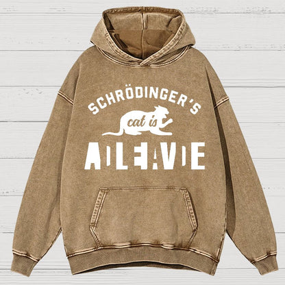 Schrodinger's Cat Vintage Distressed Hoodie
