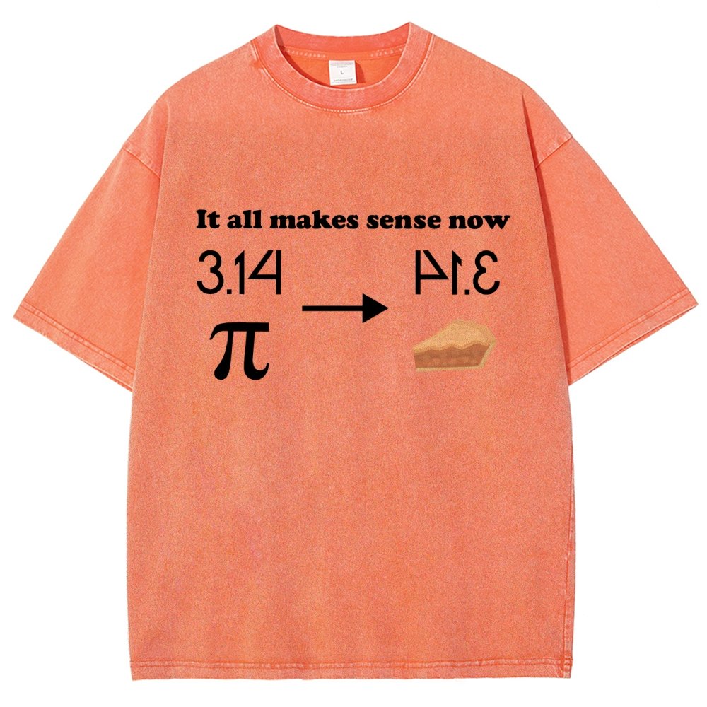 It All Makes Sense Now Pi Vintage Distressed T-shirt