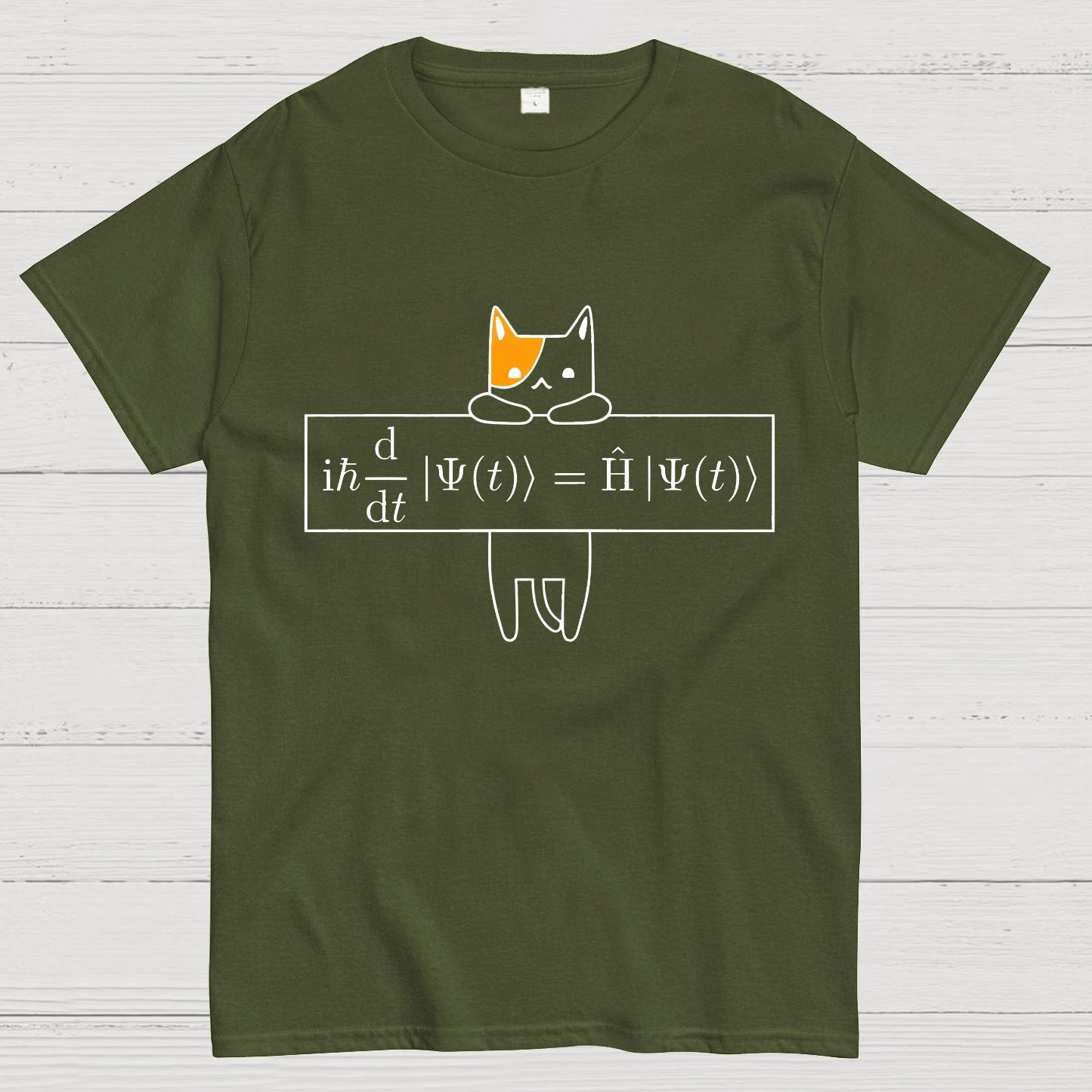 Schrödinger equation Geeky T-Shirt