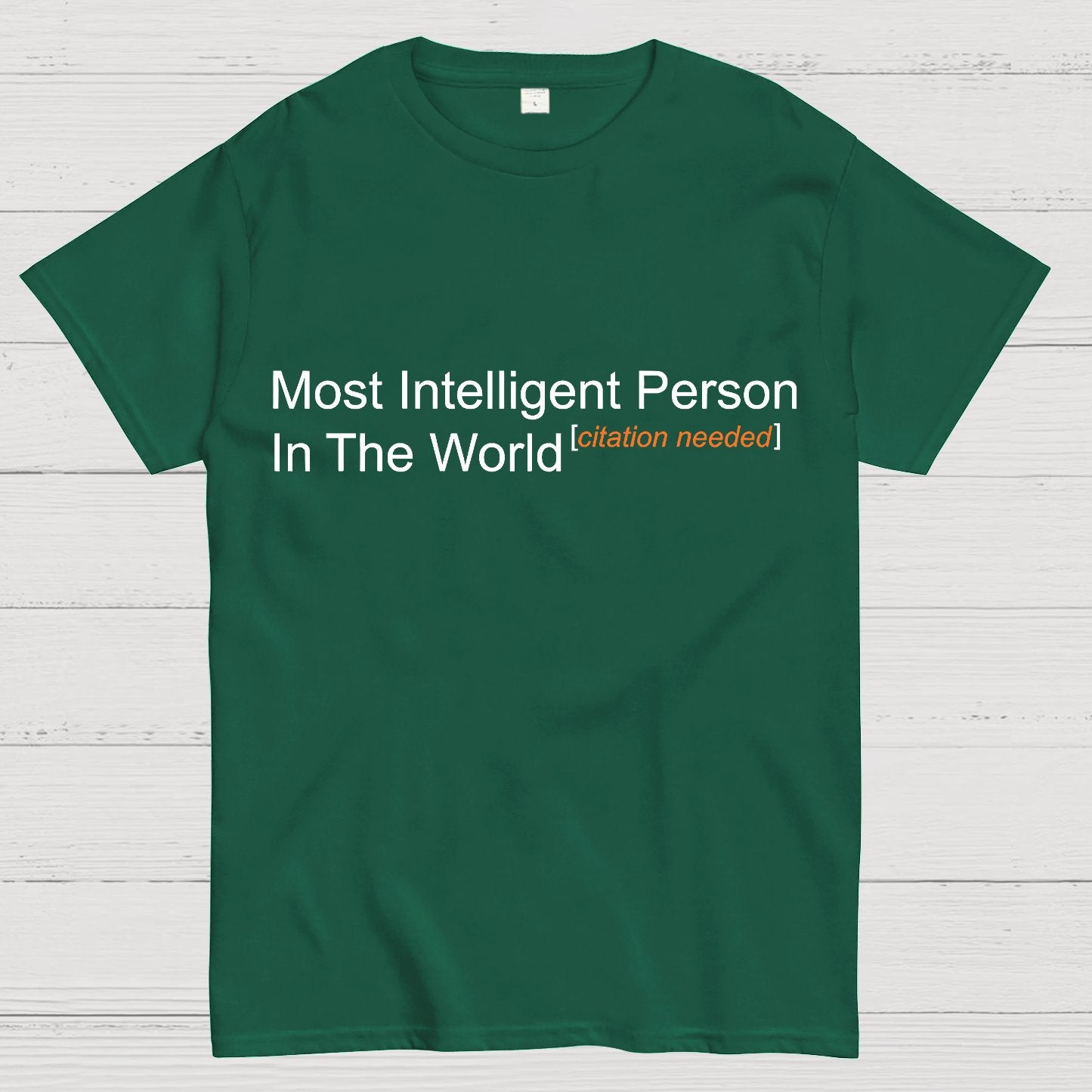 Most Intelligent Person In The World Geek T-Shirt