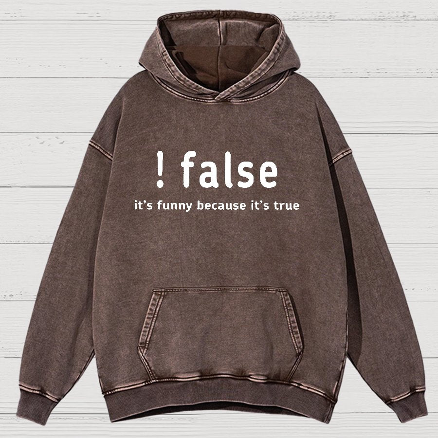False It's Funny Because It's True Vintage Distressed Hoodie
