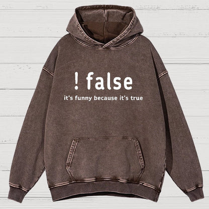False It's Funny Because It's True Vintage Distressed Hoodie