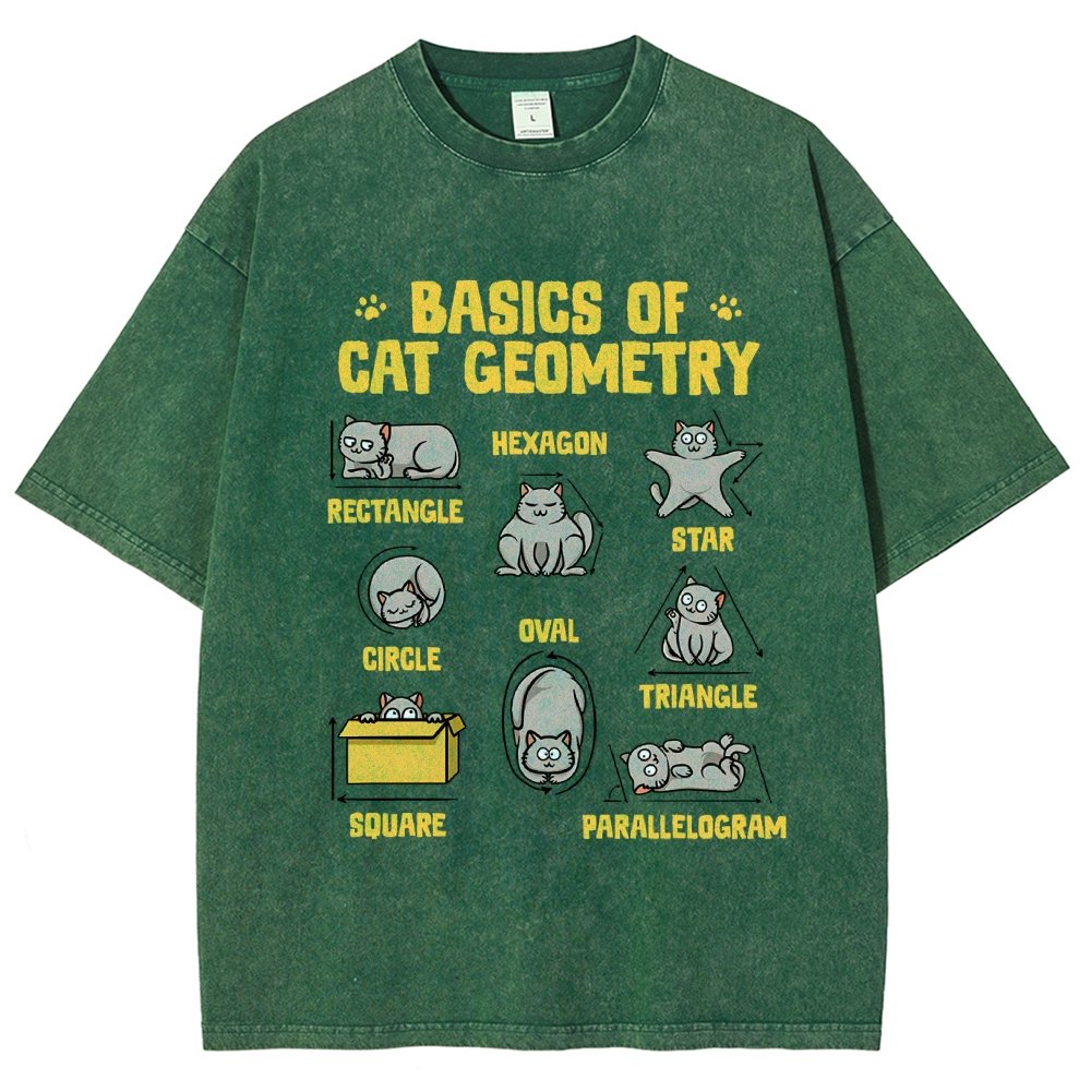 Basics of Cat Geometry Vintage Distressed T-shirt