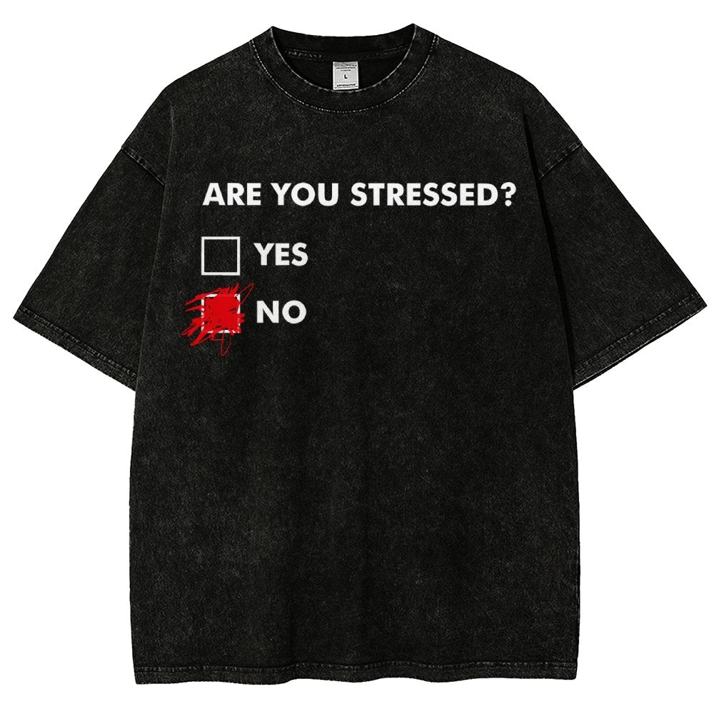 Fuuny Word Are You Stressed No Vintage Distressed T-shirt