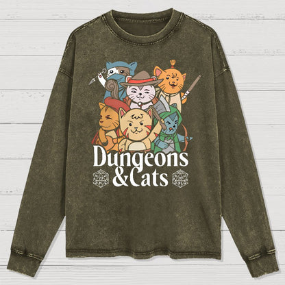 Dungeons and Cats Washed Long Sleeve Tee