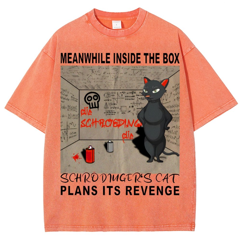 Inside The Box：Schrödingers Cat Plans Its Revenge Vintage Distressed T-shirt