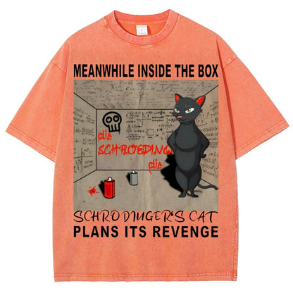 Inside The Box：Schrödingers Cat Plans Its Revenge Vintage Distressed T-shirt