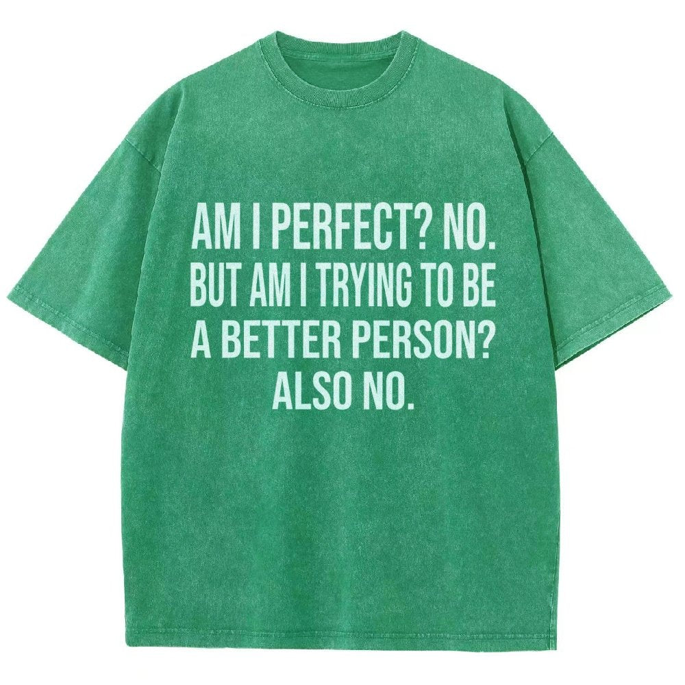 Am I Perfect No But Am I Trying To Be A Better Person Also No Vintage Distressed T-shirt