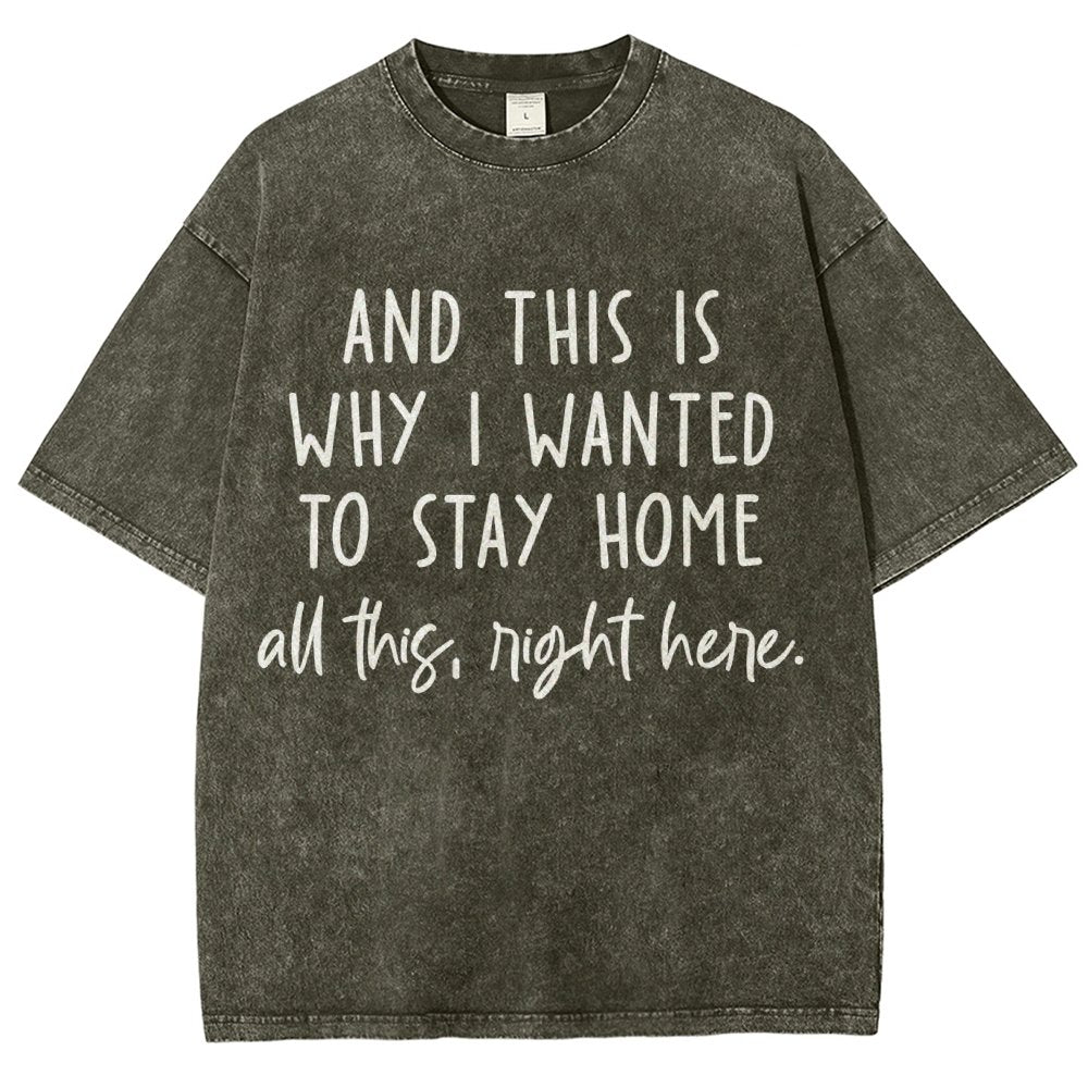 Sarcastic Introvert And This Is Why I Wanted To Stay Home Vintage Distressed T-shirt