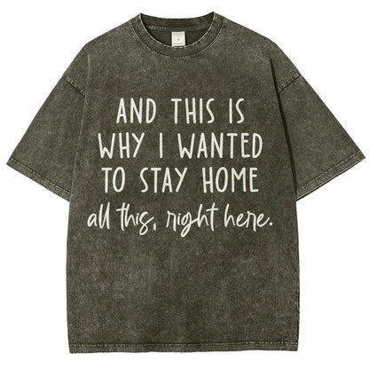 Sarcastic Introvert And This Is Why I Wanted To Stay Home Vintage Distressed T-shirt