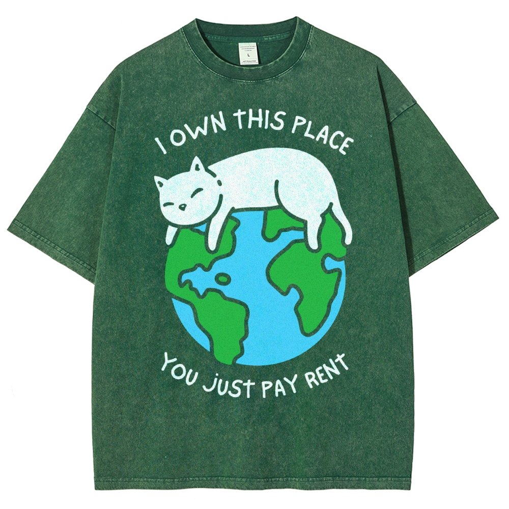 I Own This Place Vintage Distressed T-shirt